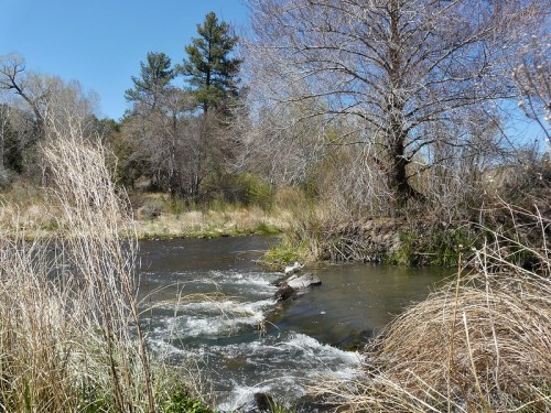 A serene river flows through a landscape of trees and dry grass under a clear blue sky.