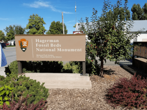 Sign for Hagerman Fossil Beds National Monument, surrounded by greenery and shrubs, with a clear blue sky in the background.