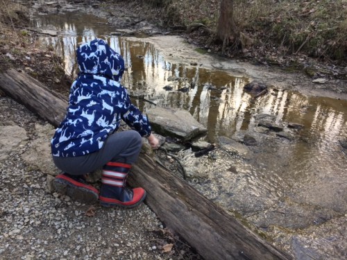 A child in a blue animal-patterned jacket crouches by a creek, playing with stones near the water's edge.