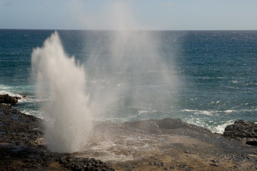 A water spout erupts from rocky shore, with ocean waves and a clear blue sky in the background.