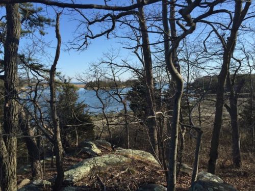 A serene view of a lake framed by bare trees and rocky terrain under a clear blue sky.