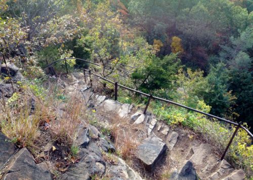 A winding stone staircase descends through lush greenery and autumn-colored trees.