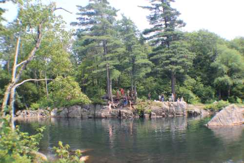 A group of people gathered by a rocky shore, surrounded by trees, enjoying a sunny day by the water.