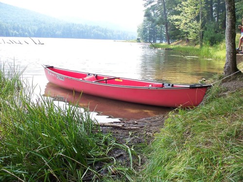A red canoe rests on the shore of a calm lake, surrounded by lush green grass and trees in the background.