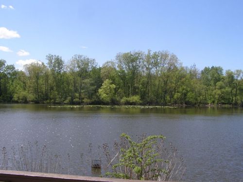 A serene lake surrounded by lush green trees under a clear blue sky.