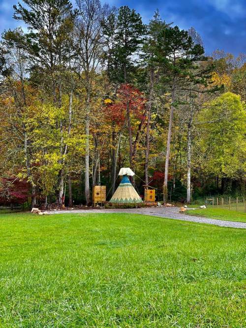 A colorful teepee surrounded by trees with autumn foliage in a grassy area.