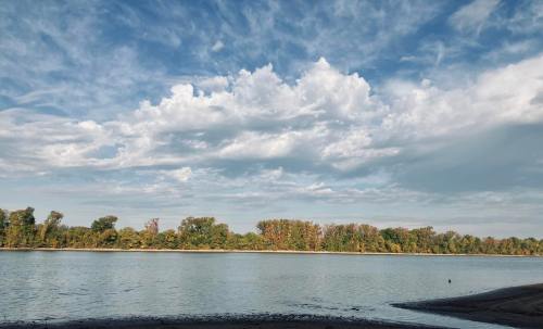 A serene river scene with lush trees lining the shore under a partly cloudy sky.