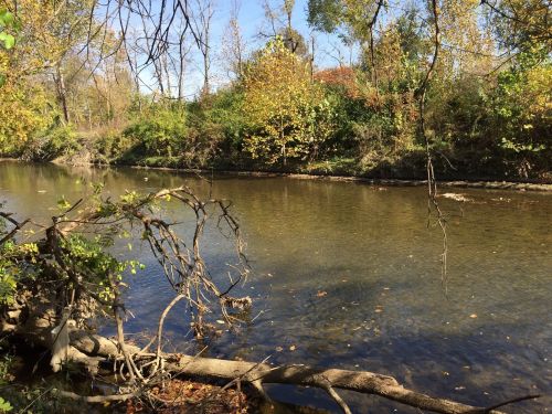 A serene river scene surrounded by trees with autumn foliage and clear blue skies.