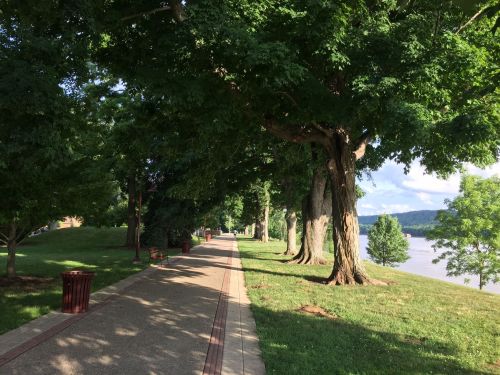 A tree-lined walkway beside a river, with green grass and trash bins along the path under a clear sky.