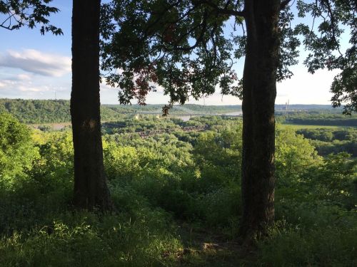 A scenic view from a forested area, framed by two trees, overlooking a lush green valley and distant hills.