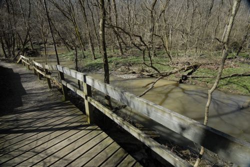 A wooden walkway beside a winding stream, surrounded by bare trees and grassy areas in a serene natural setting.