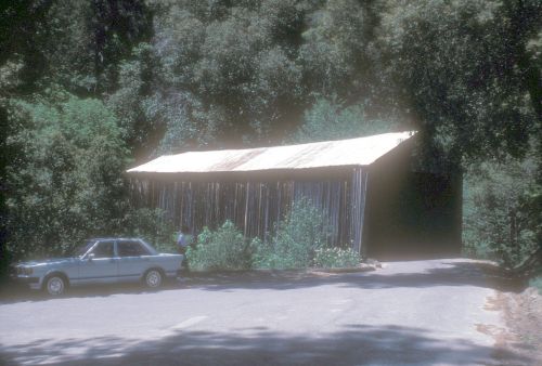 A weathered metal shed surrounded by trees, with a vintage car parked nearby on a quiet road.