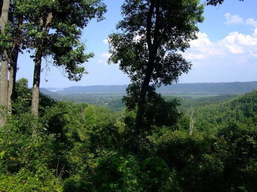 A scenic view of a lush green valley framed by tall trees under a blue sky with scattered clouds.