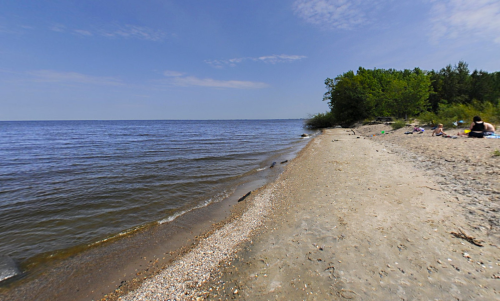 A sandy beach with gentle waves, bordered by trees under a clear blue sky.