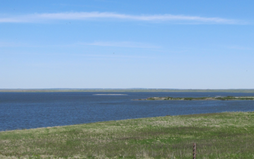 A serene landscape featuring a calm blue lake under a clear sky, bordered by green grass and distant land.
