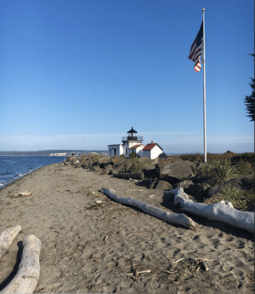 A sandy beach with a lighthouse and an American flag, under a clear blue sky. Driftwood scattered along the shore.