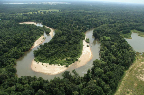 Aerial view of a winding river surrounded by lush green forests and sandy banks.