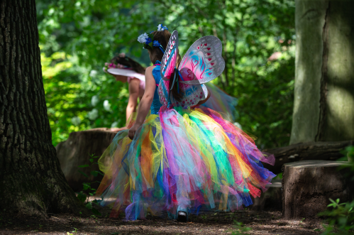 A child in a colorful tutu and butterfly wings walks through a lush, green forest.