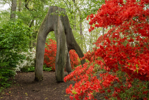 A large wooden sculpture stands amidst vibrant red azaleas in a lush garden setting.