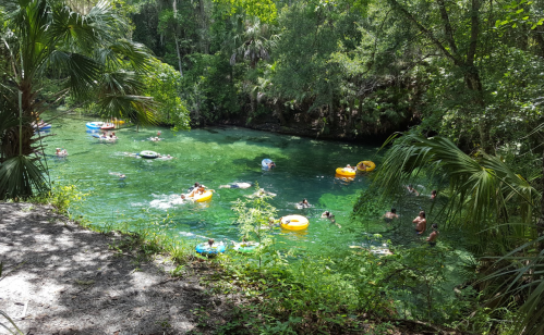 A lush, green river scene with people floating on colorful inner tubes and enjoying the water on a sunny day.