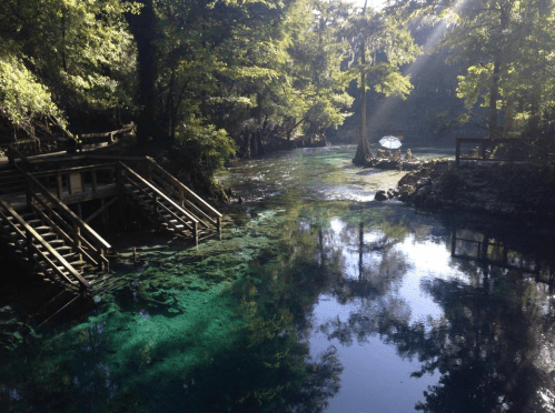 A serene natural scene featuring clear blue water surrounded by lush greenery and wooden steps leading to the water's edge.