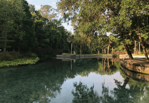 A serene pond surrounded by lush greenery, reflecting trees and a clear sky.