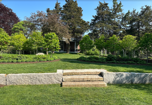 A landscaped garden with stone steps leading to a lush green area and trees, featuring a house in the background.