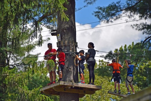 A group of children and adults on a tree-top ropes course, surrounded by trees and blue skies.