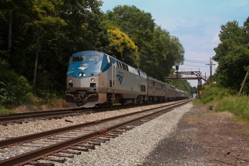 An Amtrak train travels along a tree-lined track on a sunny day, with power lines in the background.