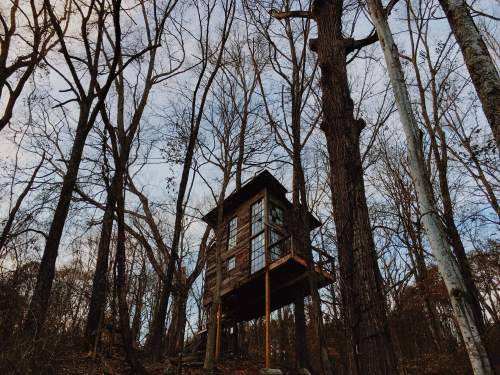 A rustic treehouse perched among bare trees, surrounded by a serene forest landscape under a cloudy sky.