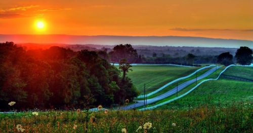 A serene sunset over rolling hills, with a winding road and lush greenery in the foreground.