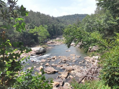 A serene river flows through a lush green landscape, surrounded by trees and rocky banks under a clear sky.