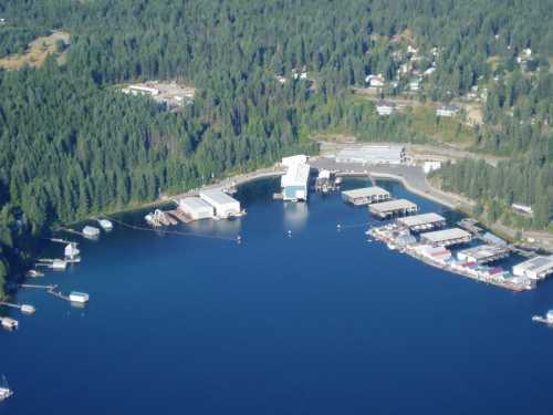 Aerial view of a marina surrounded by dense forest, featuring several boats and industrial buildings along the water.