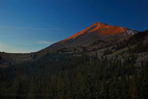 A mountain peak bathed in warm sunset light, surrounded by lush green forests and a clear blue sky.