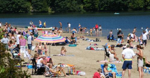 A busy beach scene with people sunbathing, swimming, and playing near the water under colorful umbrellas.