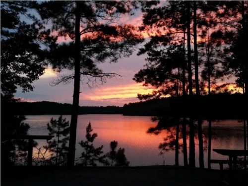 Silhouette of trees against a vibrant sunset reflecting on a calm lake.