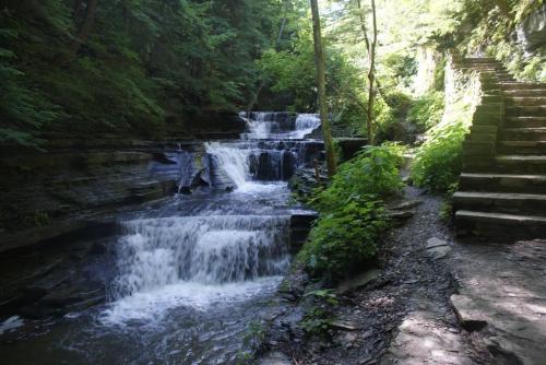 A serene waterfall cascades over rocks, surrounded by lush greenery and a stone path leading up the hillside.