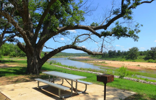 A picnic area by a river, featuring a table, grill, and a large tree under a clear blue sky.