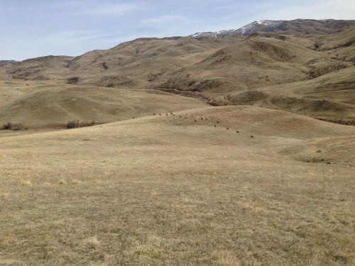 A vast, dry landscape with rolling hills and sparse vegetation under a clear sky.
