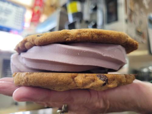 A hand holding a large ice cream sandwich made with two chocolate chip cookies and a scoop of purple ice cream.