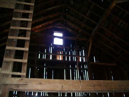 Interior of a rustic barn with wooden beams, a ladder, and light streaming through a small window.