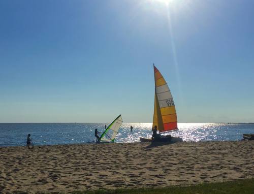 Sailboats on a sunny beach with sparkling water and clear blue skies. People enjoy the day by the shore.