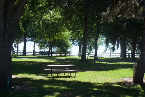 A shaded park area with picnic tables surrounded by trees and a view of a lake in the background.