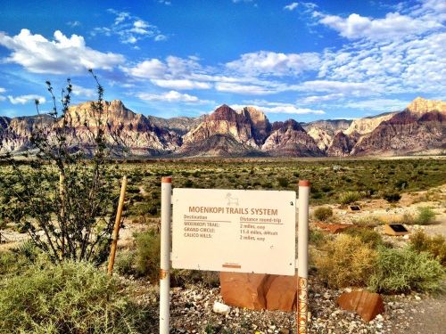 Sign for Moenkopi Trails System with scenic mountains and blue sky in the background, surrounded by desert vegetation.