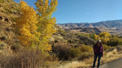 A woman stands beside a vibrant yellow tree in a scenic landscape of mountains and autumn foliage.