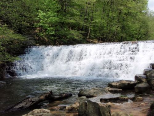 A serene waterfall cascades over rocks, surrounded by lush green trees and a calm pool of water below.