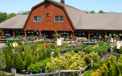 A vibrant garden center with a wooden barn, filled with colorful flowers and plants, surrounded by greenery.