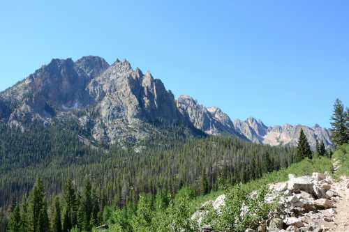 A scenic view of rugged mountains under a clear blue sky, surrounded by lush green trees and rocky terrain.