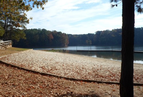 A serene lakeside view with a sandy shore, surrounded by trees and autumn leaves under a clear sky.
