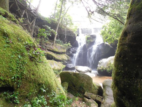 A serene waterfall cascades over rocks, surrounded by lush greenery and moss-covered stones in a tranquil forest setting.